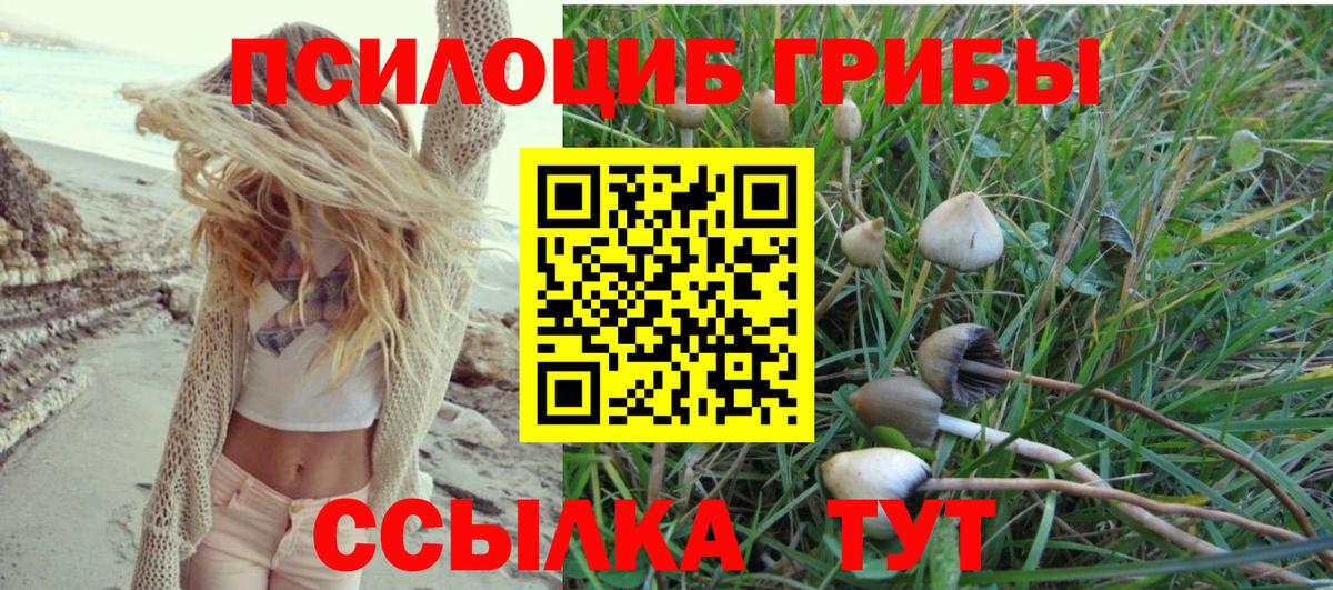 Галлюциногенные грибы мухоморы Черкесск