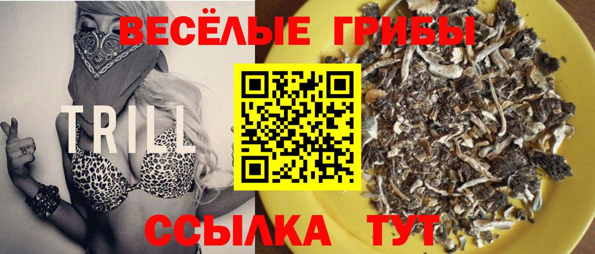дарнет шоп  Вход с VPN  Черкесск  Галлюциногенные грибы GOLDEN TEACHER 